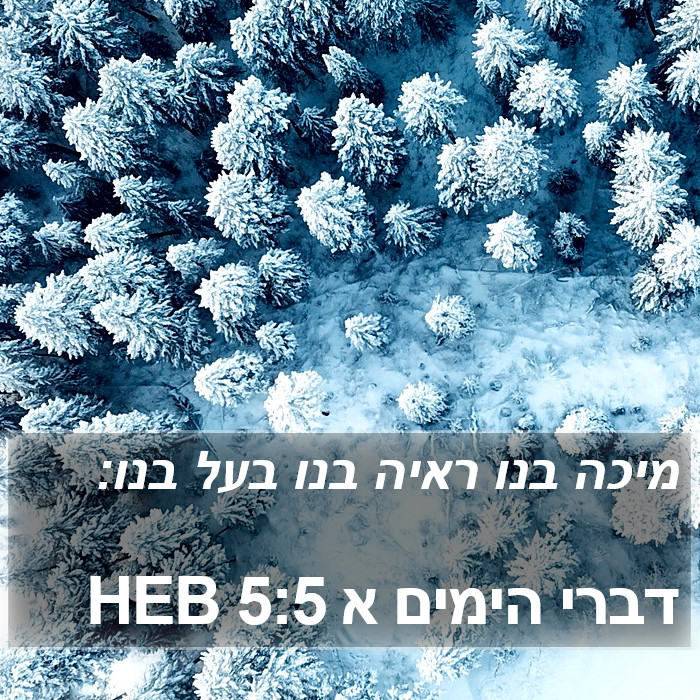 דברי הימים א 5:5 HEB Bible Study