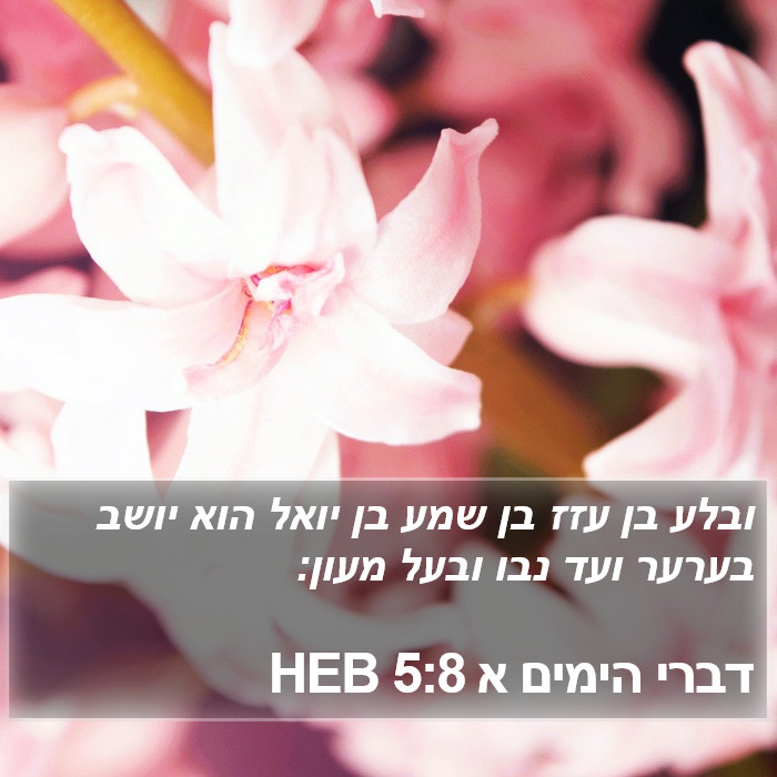 דברי הימים א 5:8 HEB Bible Study