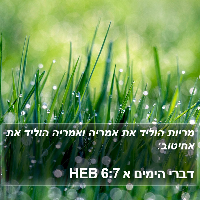 דברי הימים א 6:7 HEB Bible Study