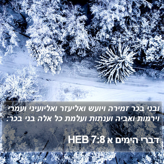 דברי הימים א 7:8 HEB Bible Study