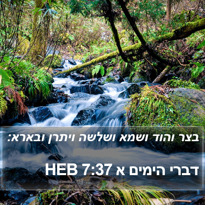 דברי הימים א 7:37 HEB Bible Study