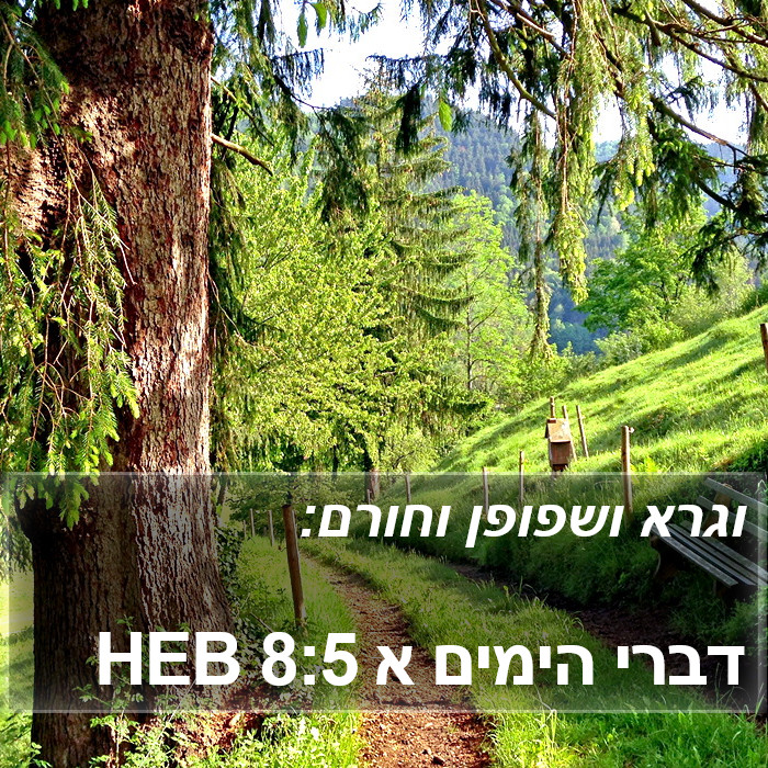 דברי הימים א 8:5 HEB Bible Study