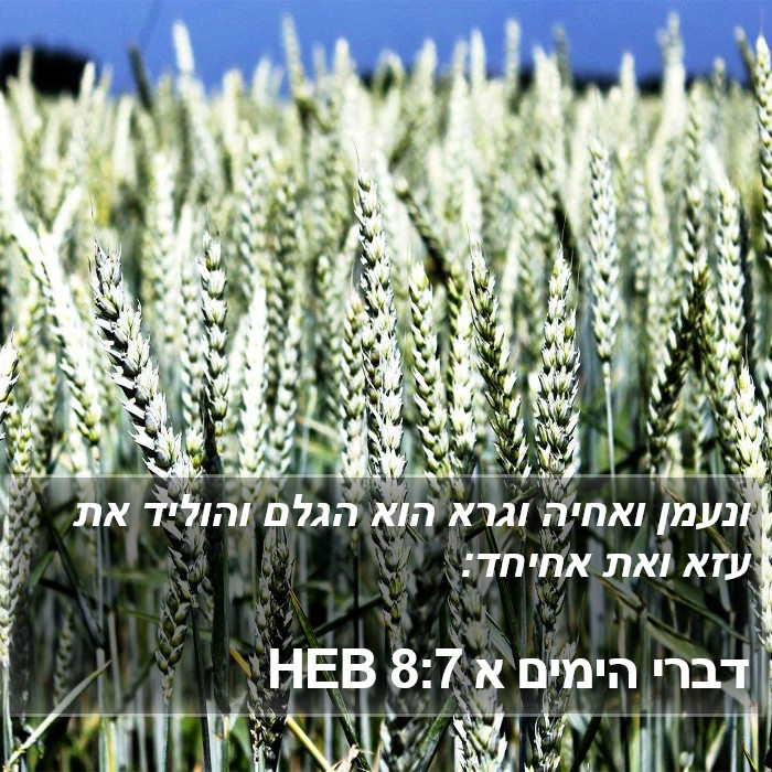 דברי הימים א 8:7 HEB Bible Study