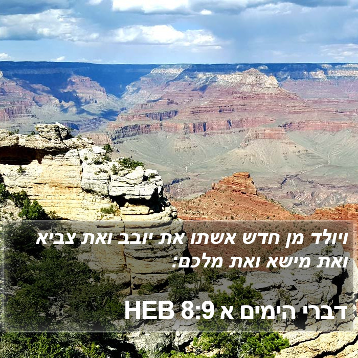 דברי הימים א 8:9 HEB Bible Study