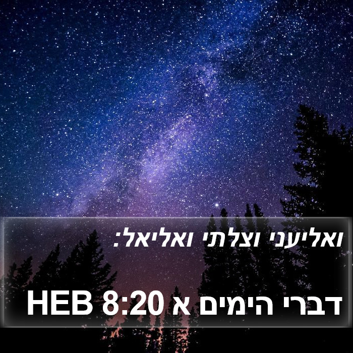 דברי הימים א 8:20 HEB Bible Study