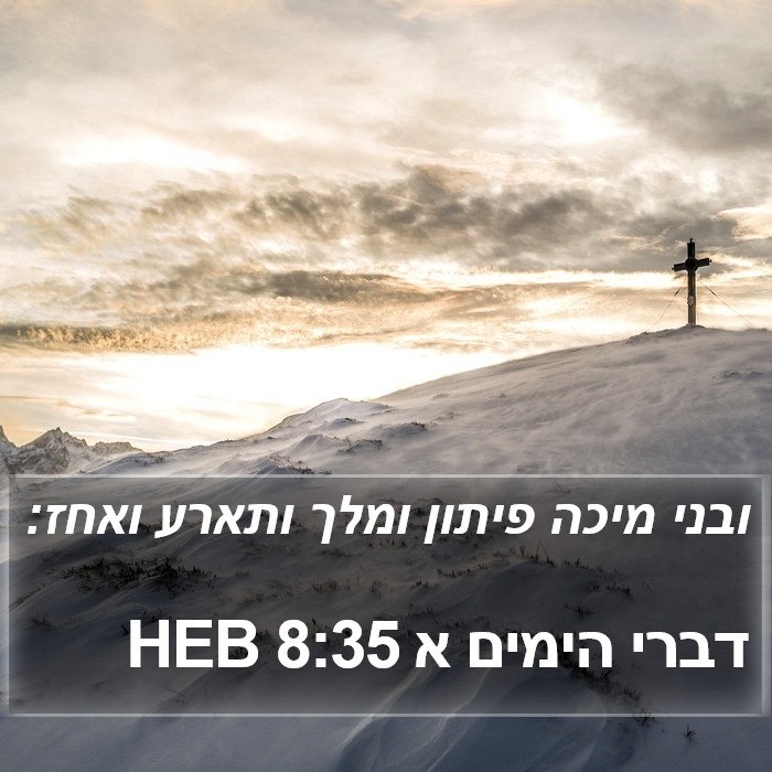 דברי הימים א 8:35 HEB Bible Study
