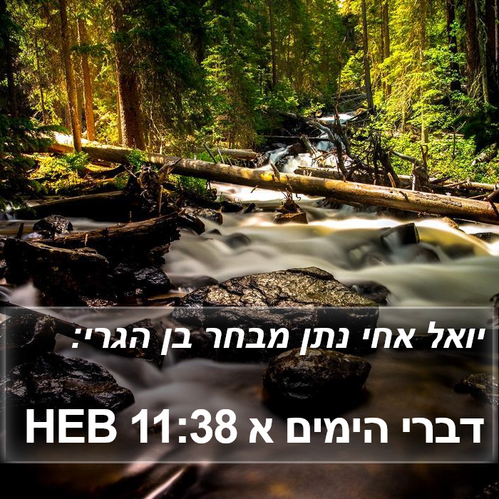 דברי הימים א 11:38 HEB Bible Study