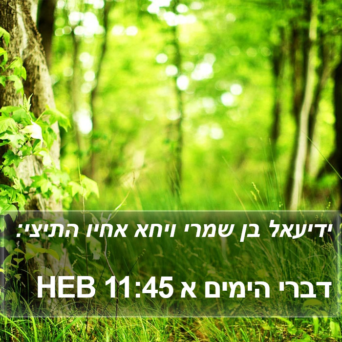 דברי הימים א 11:45 HEB Bible Study