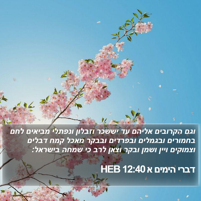 דברי הימים א 12:40 HEB Bible Study