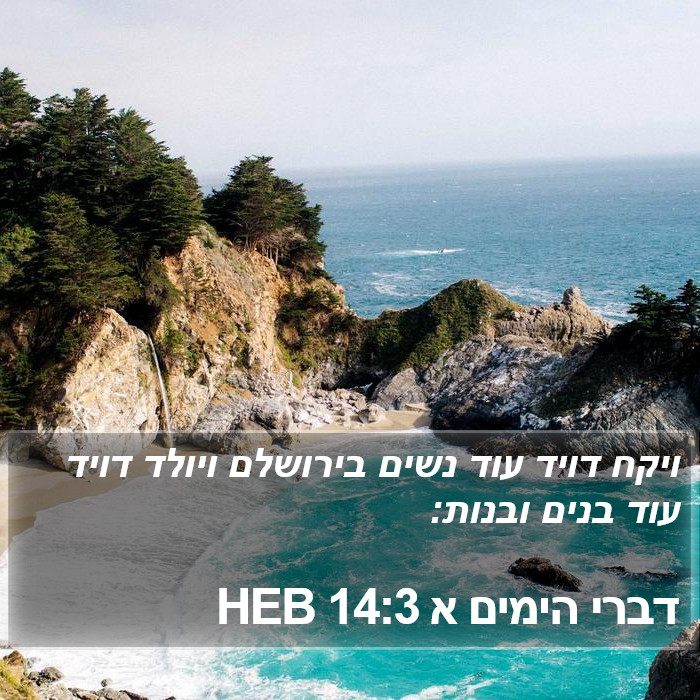 דברי הימים א 14:3 HEB Bible Study