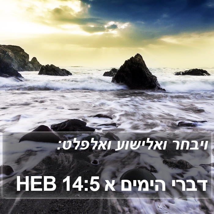 דברי הימים א 14:5 HEB Bible Study