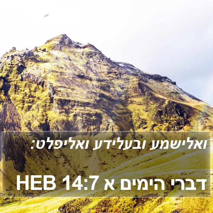 דברי הימים א 14:7 HEB Bible Study