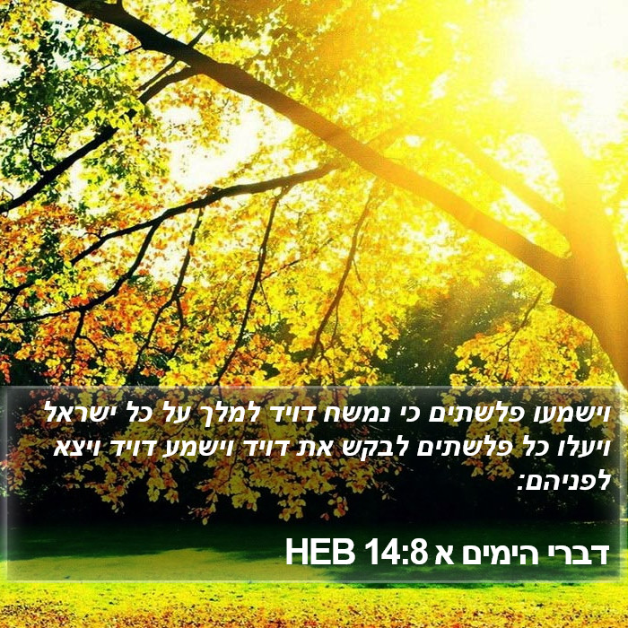 דברי הימים א 14:8 HEB Bible Study