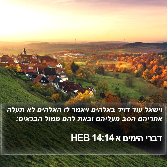 דברי הימים א 14:14 HEB Bible Study