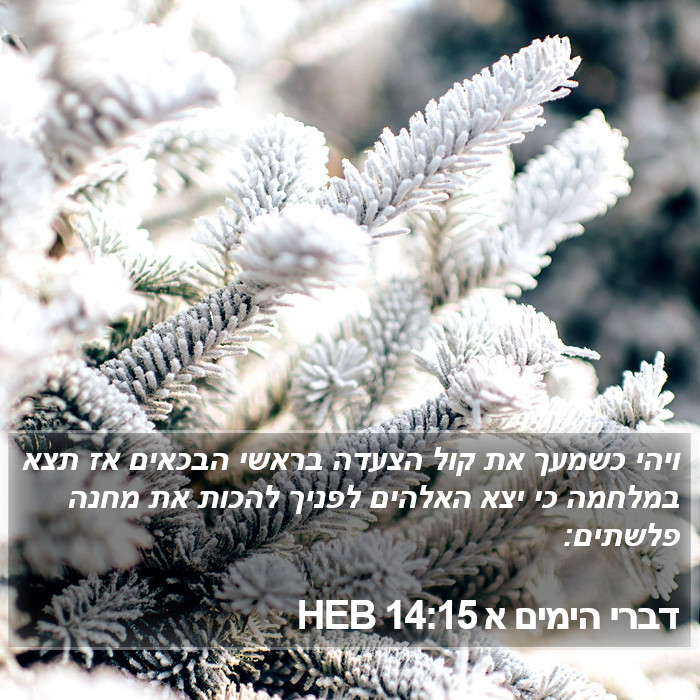 דברי הימים א 14:15 HEB Bible Study