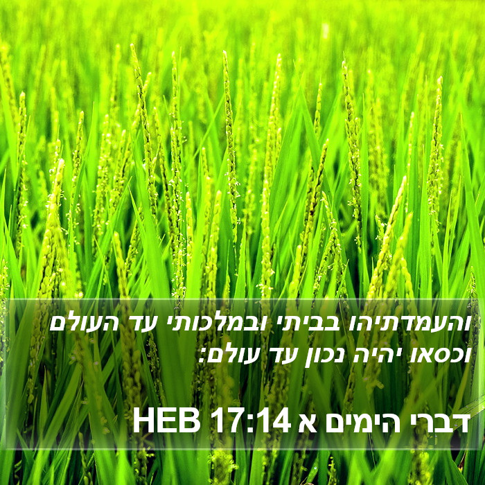 דברי הימים א 17:14 HEB Bible Study