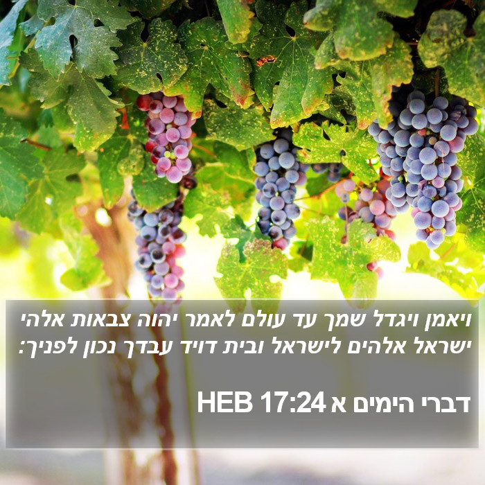 דברי הימים א 17:24 HEB Bible Study