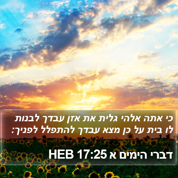 דברי הימים א 17:25 HEB Bible Study