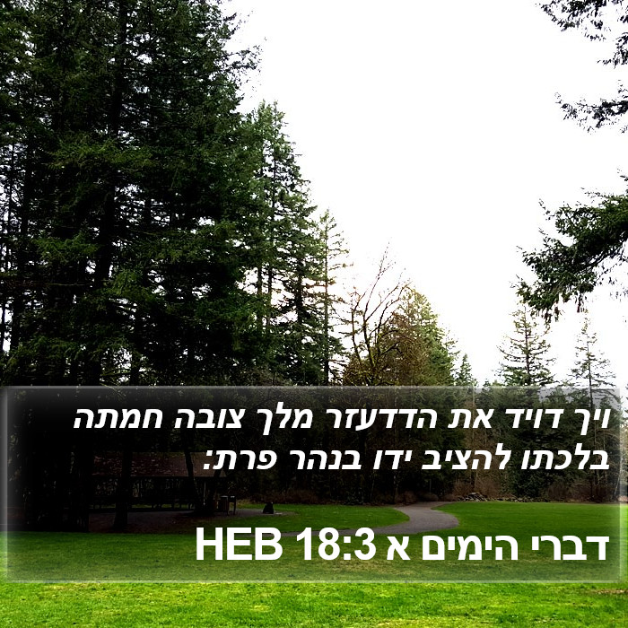 דברי הימים א 18:3 HEB Bible Study