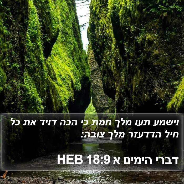 דברי הימים א 18:9 HEB Bible Study