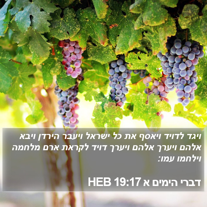 דברי הימים א 19:17 HEB Bible Study