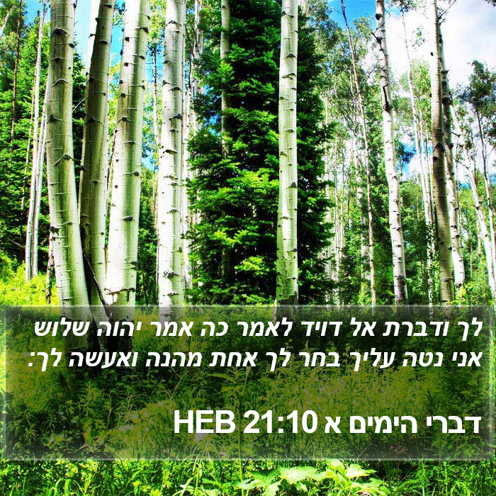 דברי הימים א 21:10 HEB Bible Study