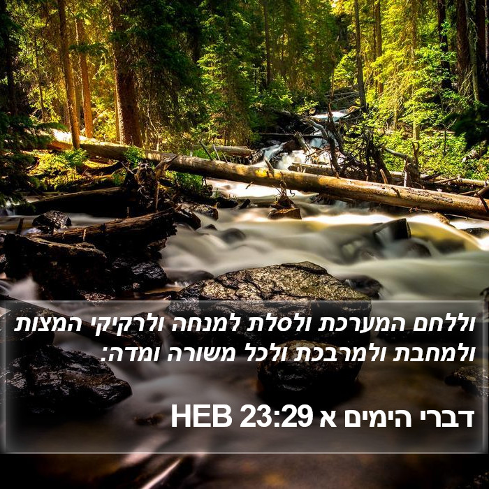 דברי הימים א 23:29 HEB Bible Study