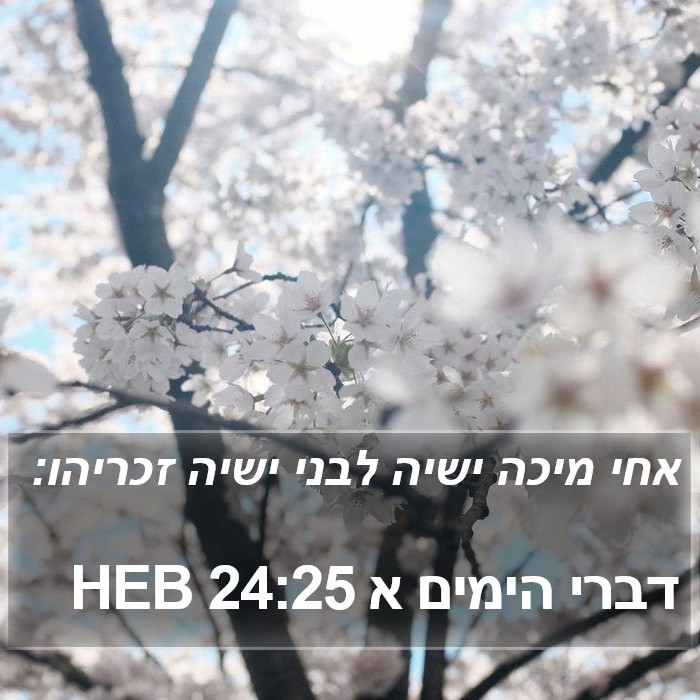 דברי הימים א 24:25 HEB Bible Study