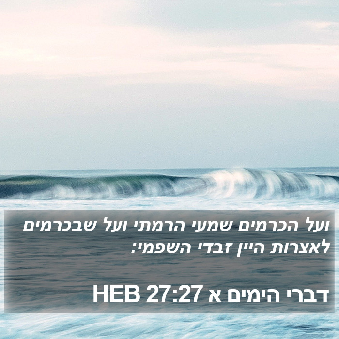 דברי הימים א 27:27 HEB Bible Study