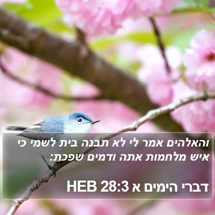 דברי הימים א 28:3 HEB Bible Study