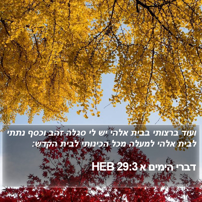 דברי הימים א 29:3 HEB Bible Study