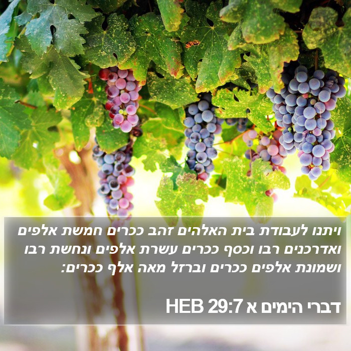 דברי הימים א 29:7 HEB Bible Study