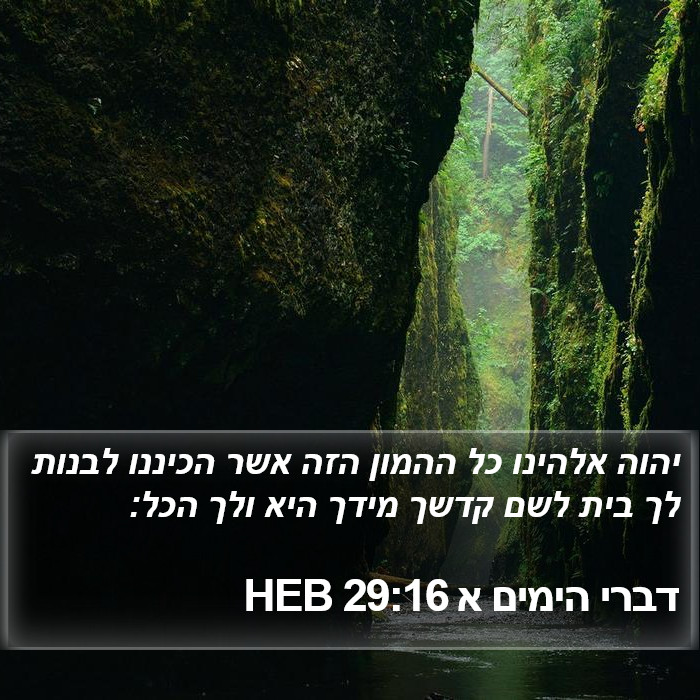 דברי הימים א 29:16 HEB Bible Study