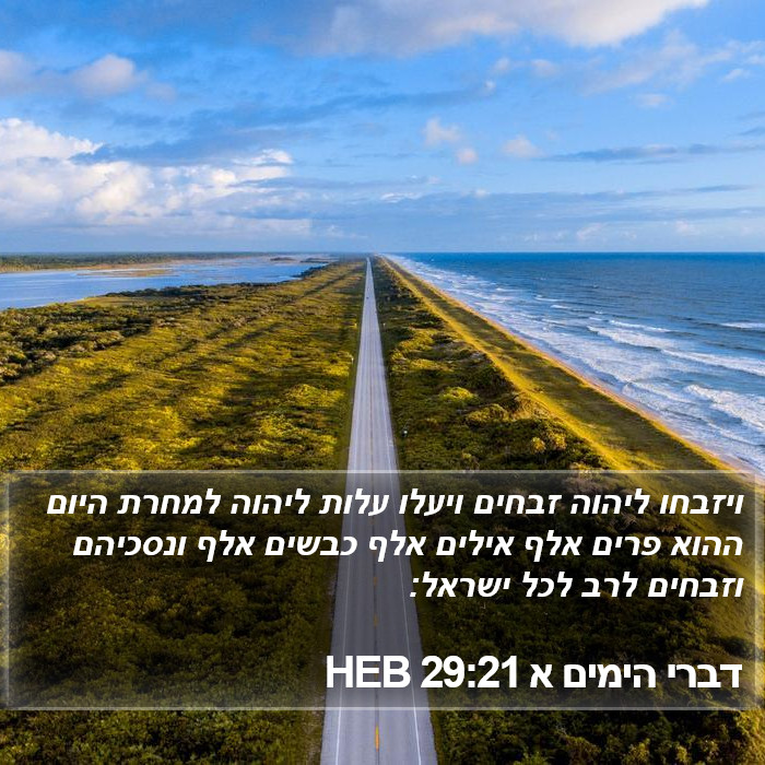 דברי הימים א 29:21 HEB Bible Study