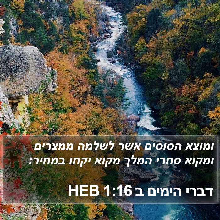 דברי הימים ב 1:16 HEB Bible Study