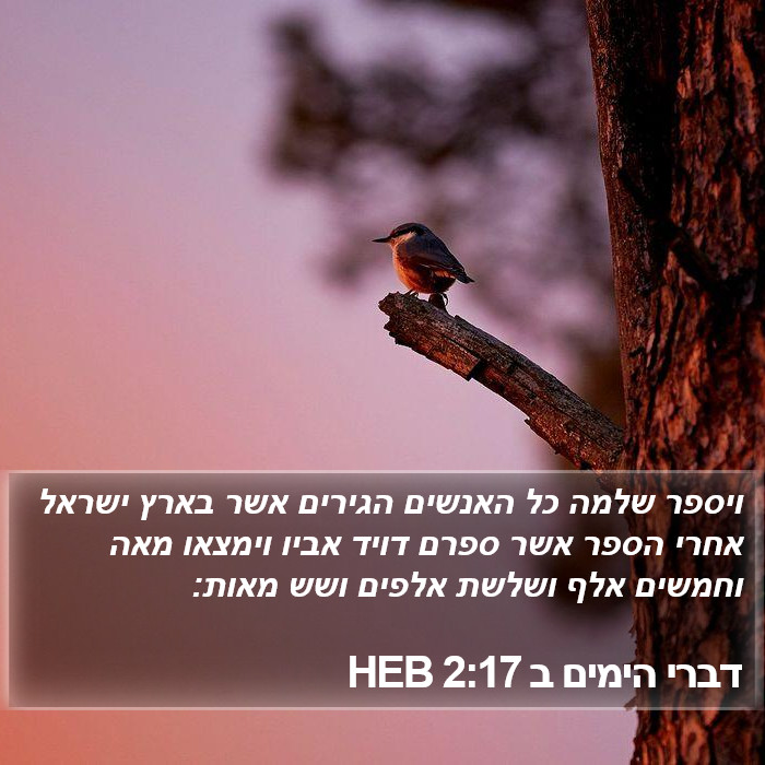 דברי הימים ב 2:17 HEB Bible Study