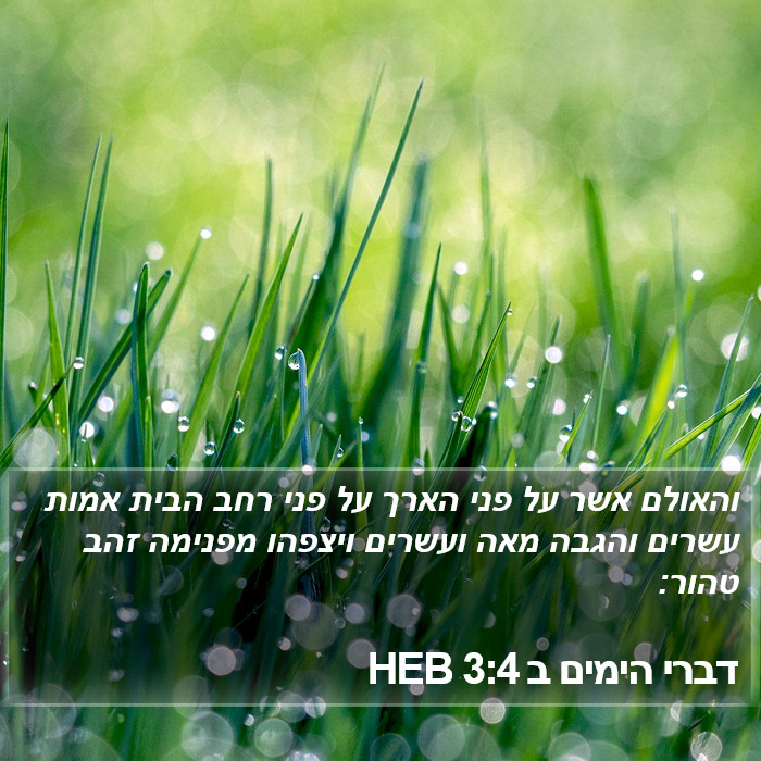 דברי הימים ב 3:4 HEB Bible Study