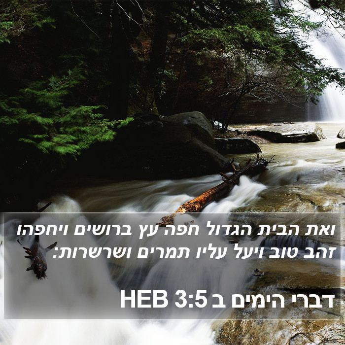 דברי הימים ב 3:5 HEB Bible Study