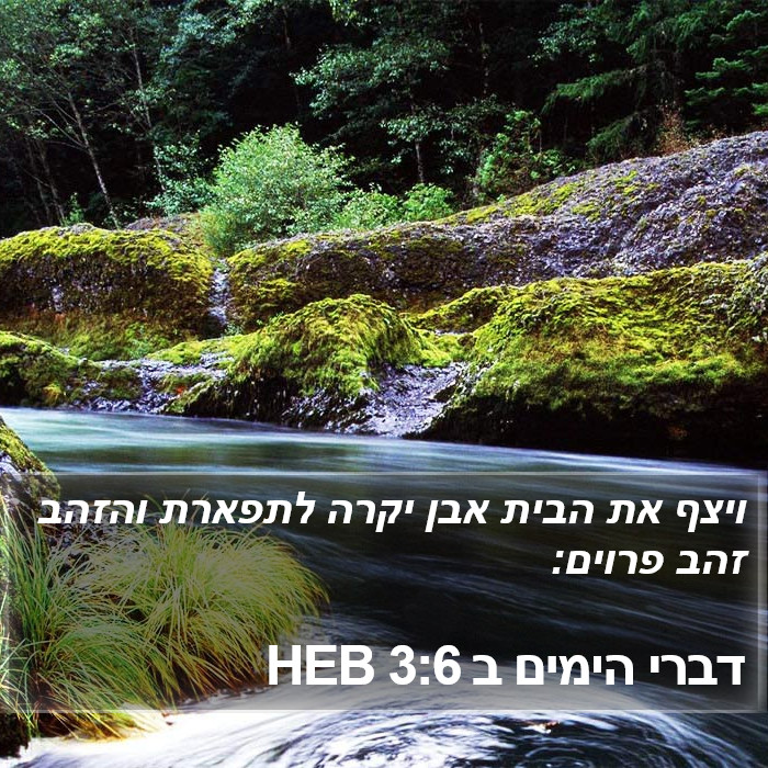 דברי הימים ב 3:6 HEB Bible Study