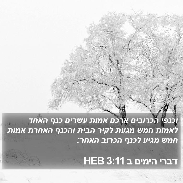 דברי הימים ב 3:11 HEB Bible Study