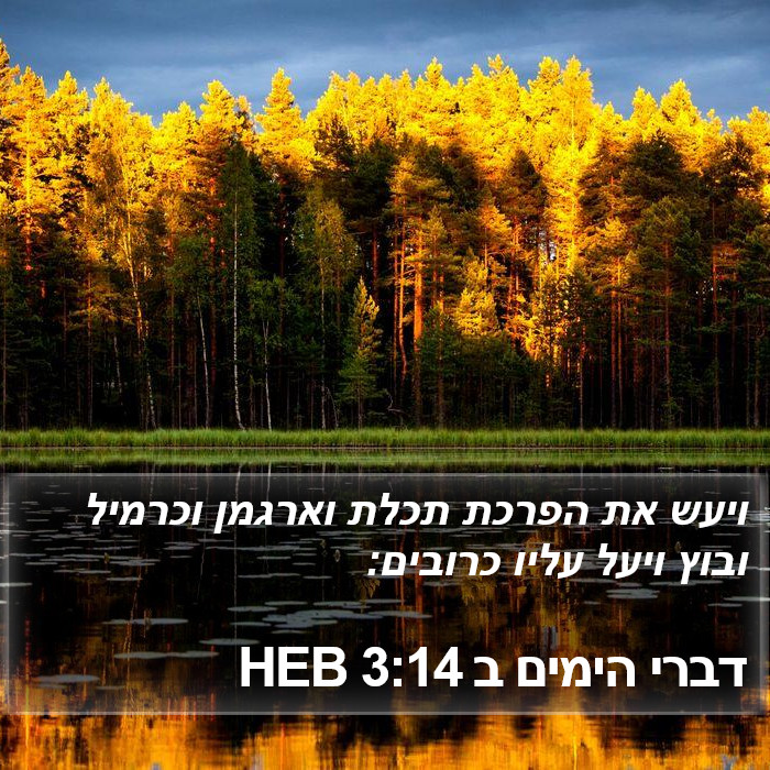 דברי הימים ב 3:14 HEB Bible Study