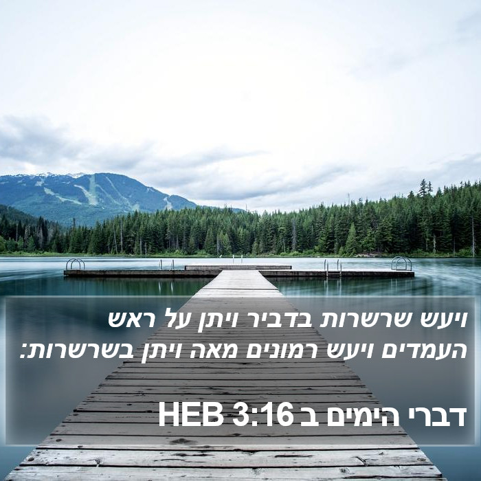 דברי הימים ב 3:16 HEB Bible Study