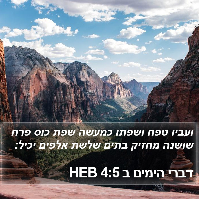 דברי הימים ב 4:5 HEB Bible Study