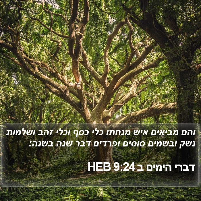 דברי הימים ב 9:24 HEB Bible Study