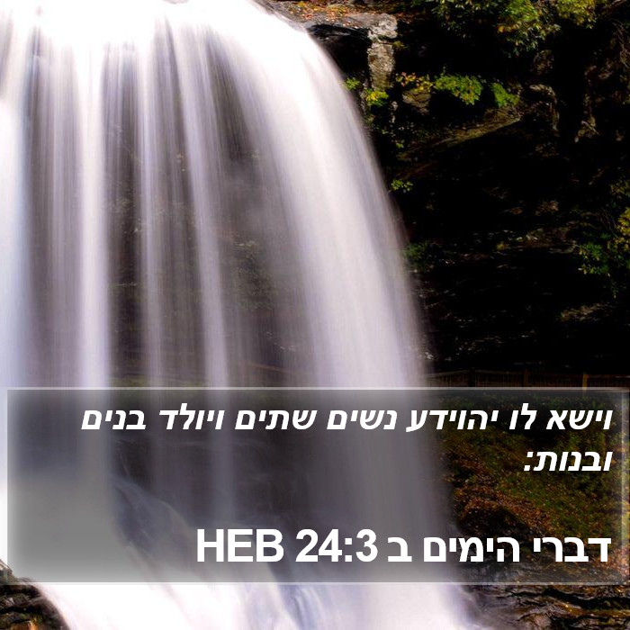 דברי הימים ב 24:3 HEB Bible Study