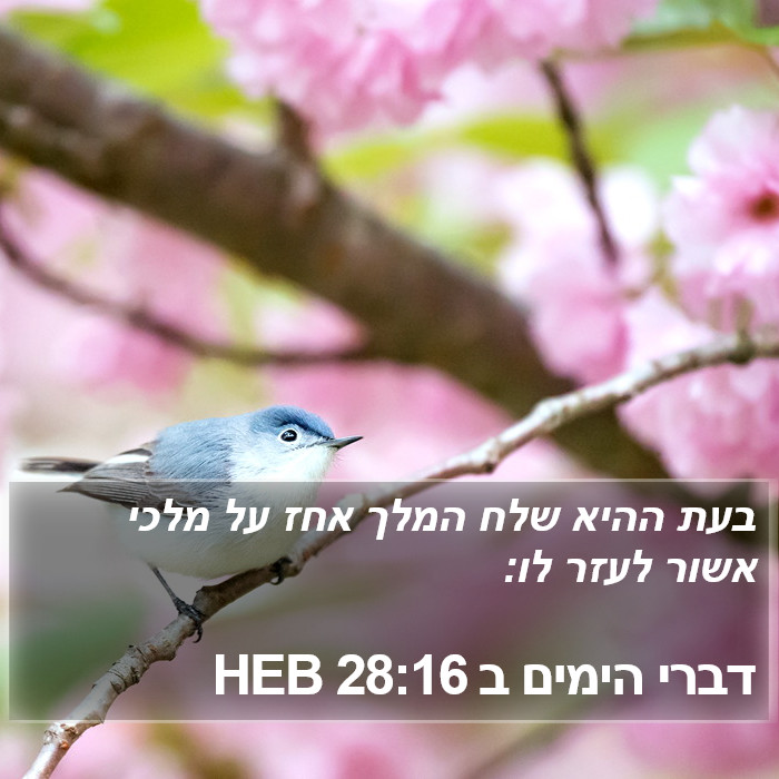 דברי הימים ב 28:16 HEB Bible Study