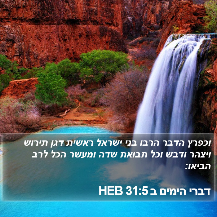 דברי הימים ב 31:5 HEB Bible Study