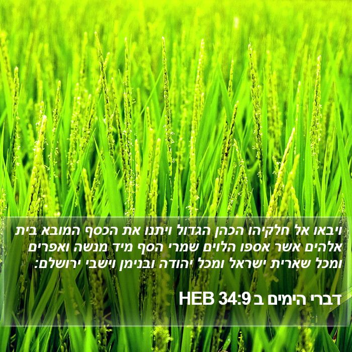 דברי הימים ב 34:9 HEB Bible Study