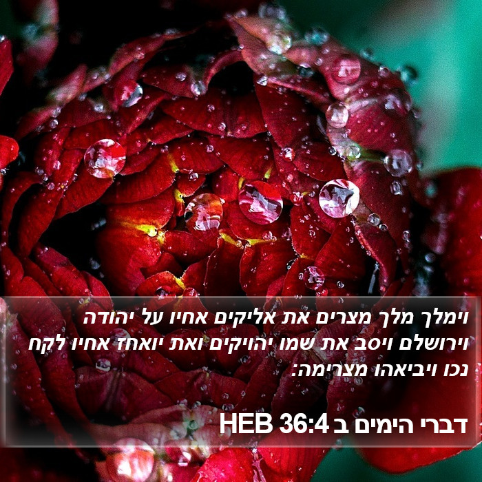 דברי הימים ב 36:4 HEB Bible Study