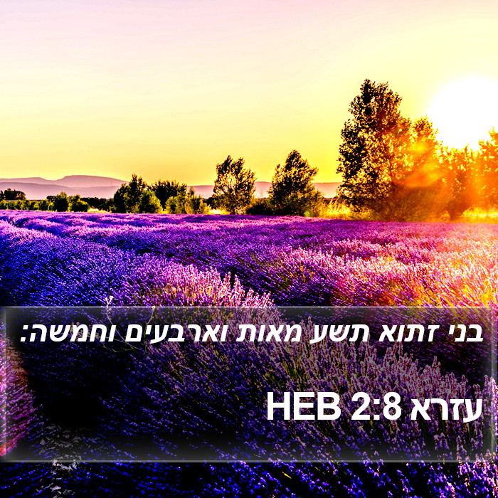 עזרא 2:8 HEB Bible Study